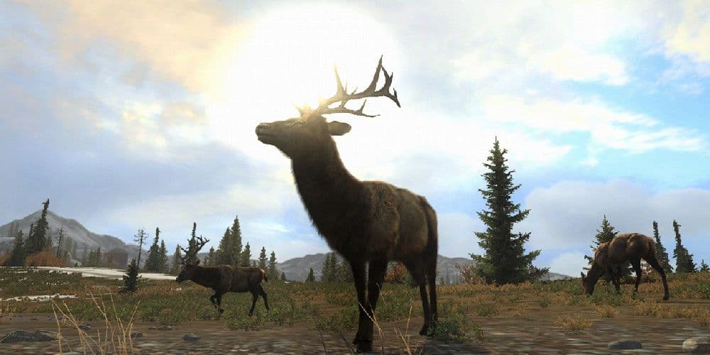 Ένα ελάφι σε ένα ανοιχτό χωράφι, πλαισιωμένο στο βάθος από δύο άλλα ελάφια που βόσκουν.