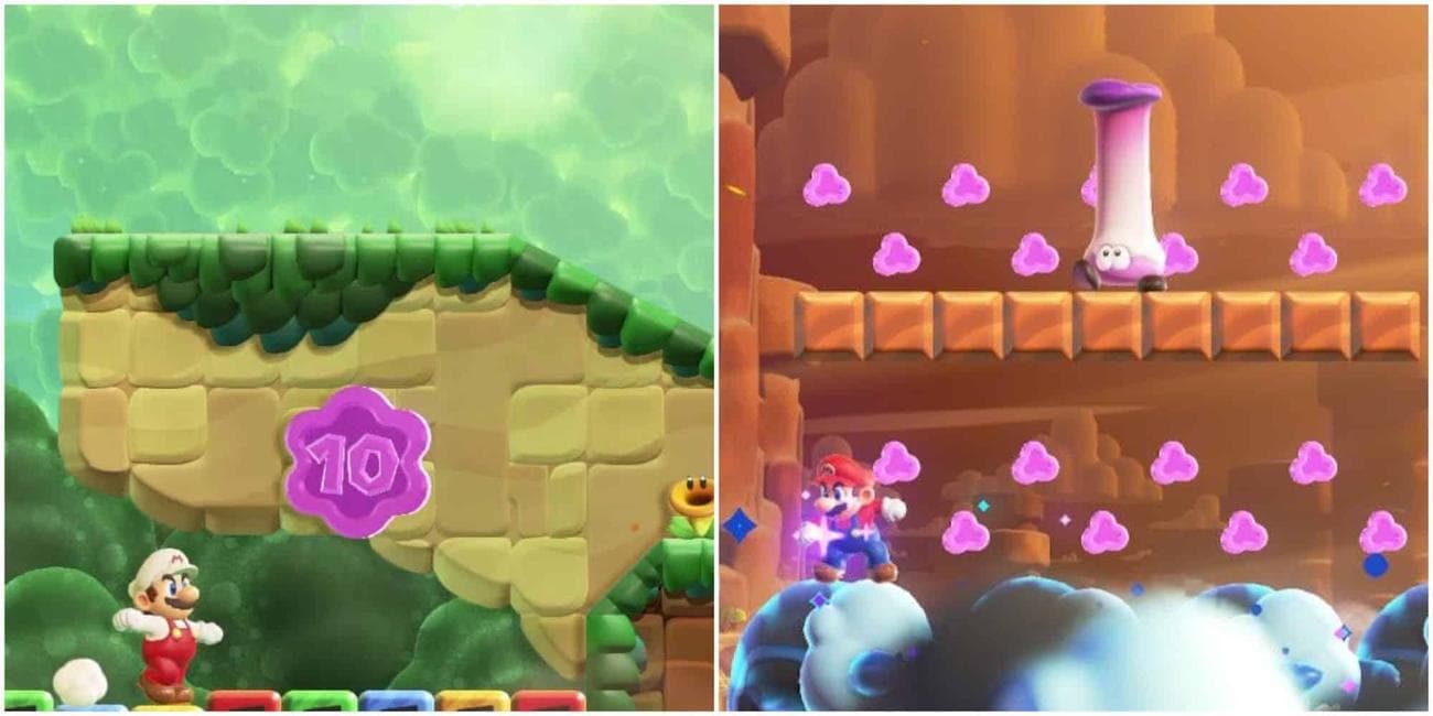 Τι είναι τα νομίσματα μωβ λουλουδιών;
