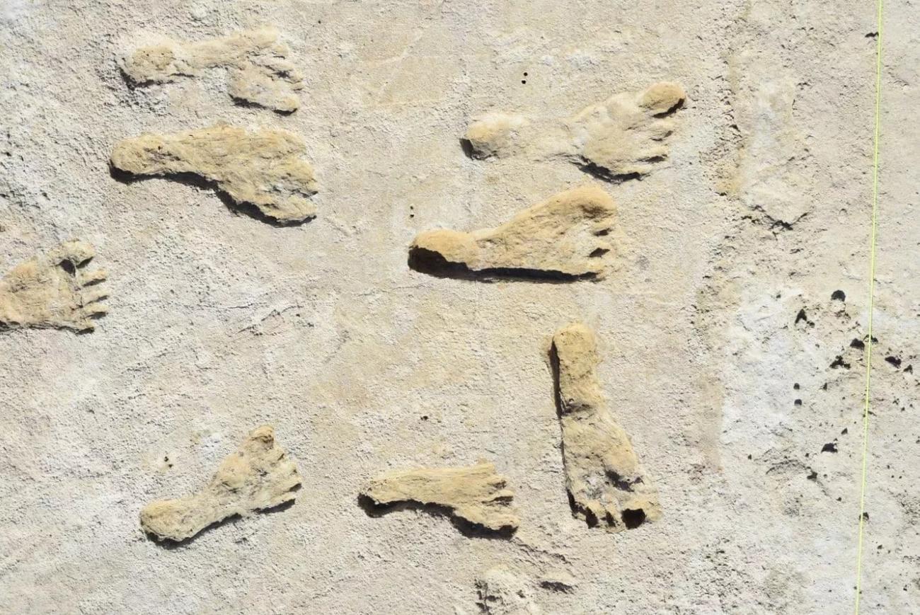 Απολιθωμένες πατημασιές αλλάζουν όλα όσα γνωρίζαμε για την αρχαιότερη παρουσία ανθρώπου στην Αμερική