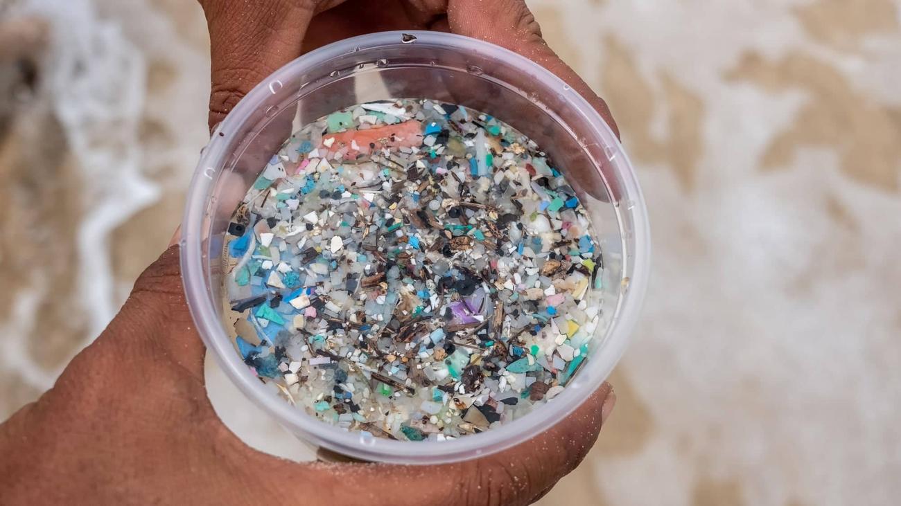 Microplastics aren’t the only contaminants that could be whisked away with sponges. A team of researchers in Vietnam recently showed how sponges made from loofah plants are also extraordinarily effective at extracting oil from water.