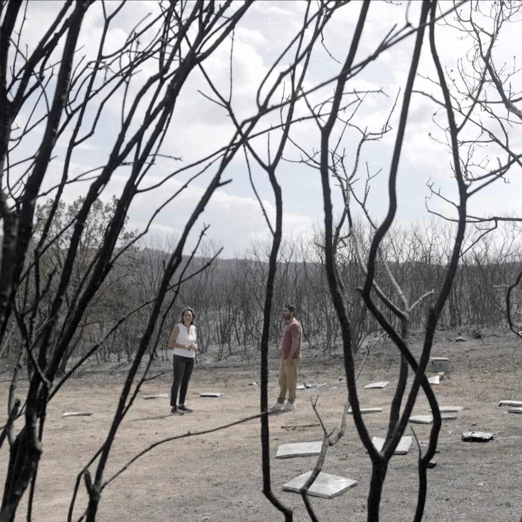 ΕΡΤNEWS: «365 στιγμές» με τη Σοφία Παπαϊωάννου - «Η εγκατάλειψη των ελληνικών δασών» - Digitaltvinfo.gr