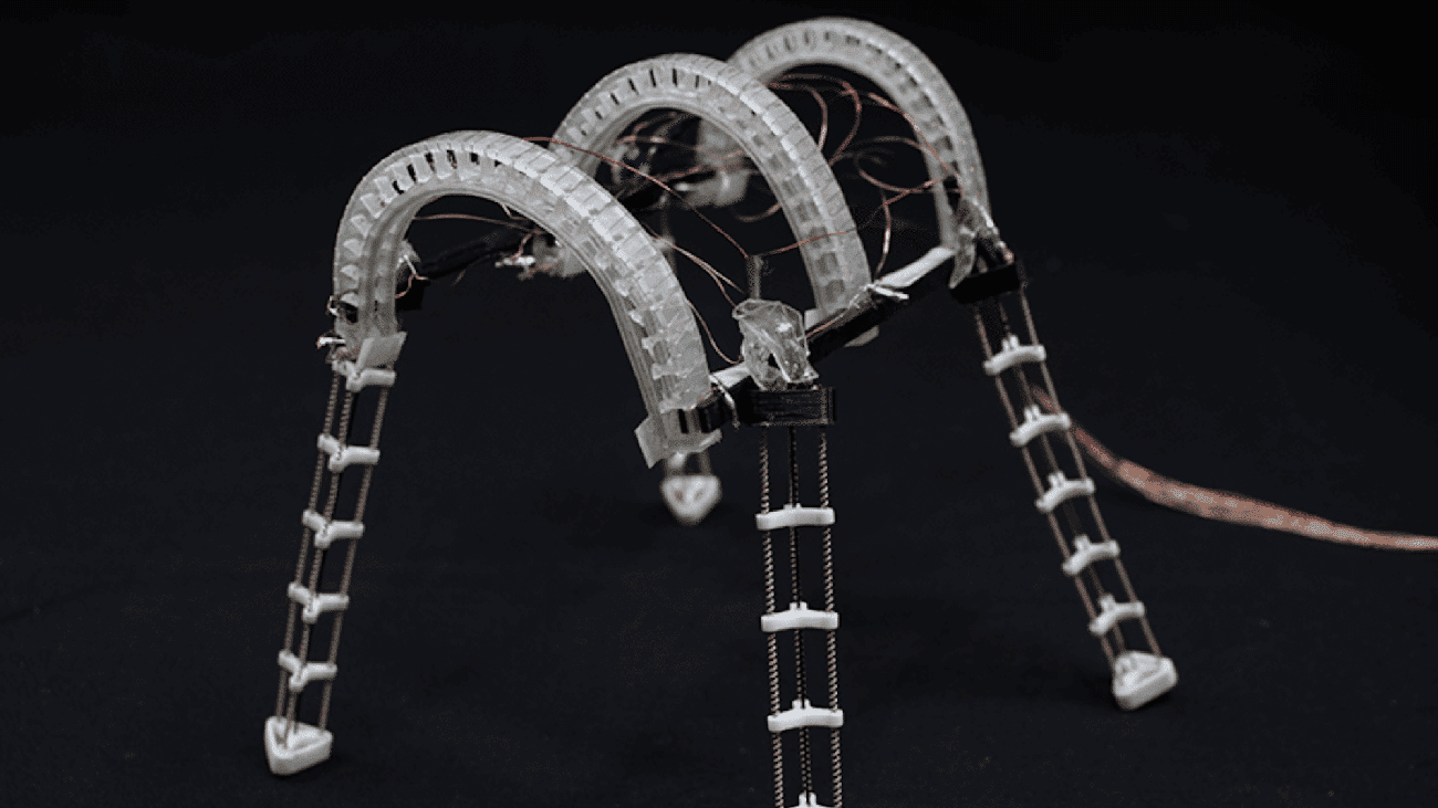 Four legged robot inspired by frog