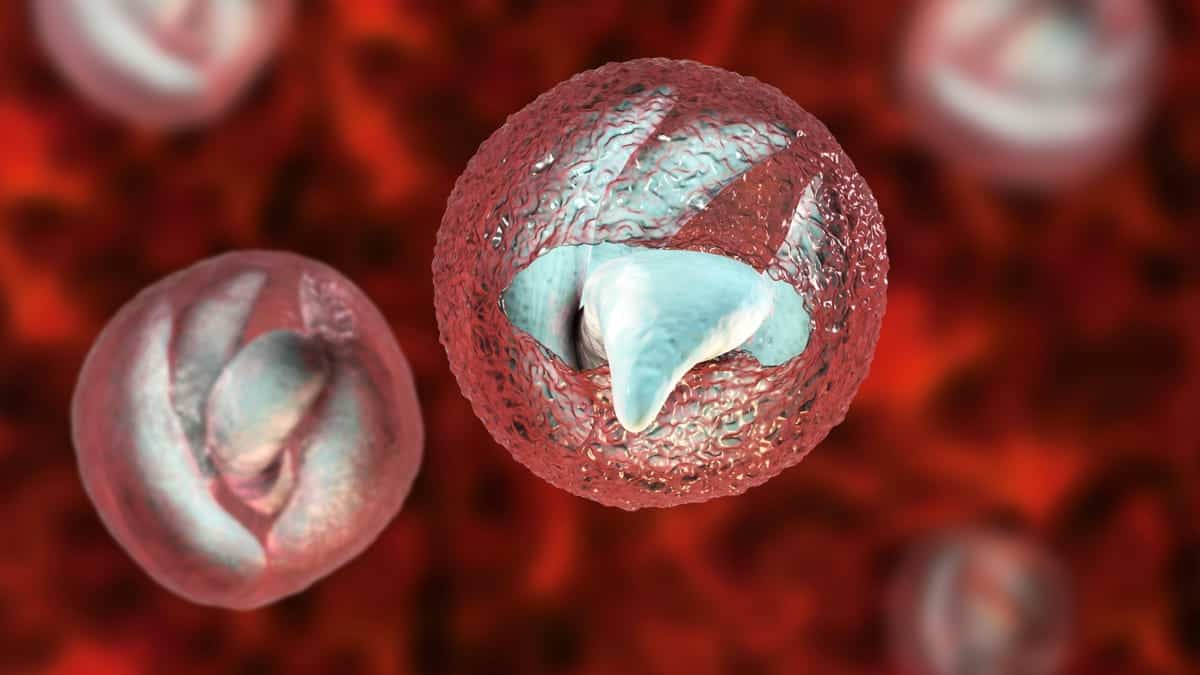 Τα «κρυπτό» παράσιτα που προκαλούν διάρροια αυξάνονται στο Ηνωμένο Βασίλειο
