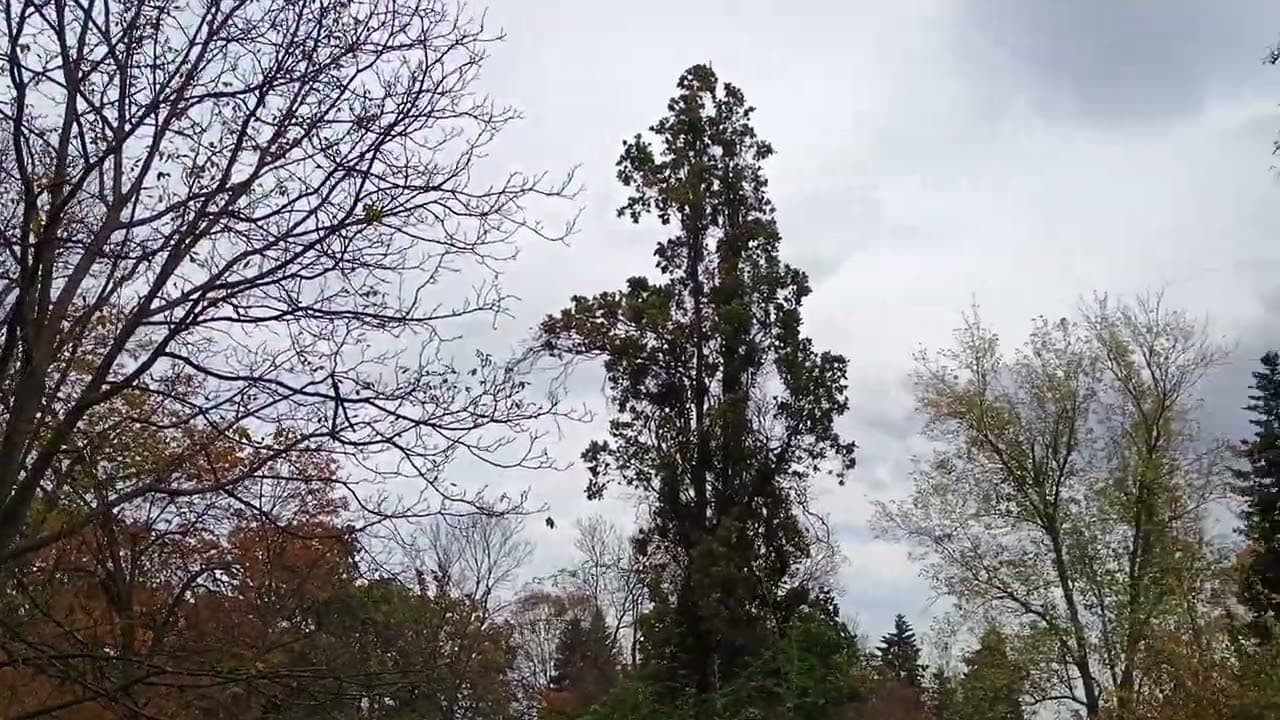 Motorola Moto G54 5G (Power Edition) review: I Feel the Power!, Motorola Moto G54 5G (Power Edition) review: I Feel the Power!, TechWar.gr