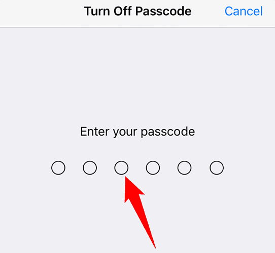Πληκτρολογήστε τον τρέχοντα κωδικό πρόσβασης iPhone.