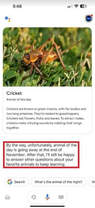 Η Google κλείνει το Assistant's Animal of the Day - Η Google αποχαιρετά μια ενημερωτική λειτουργία που έφερε κοντά γονείς και παιδιά