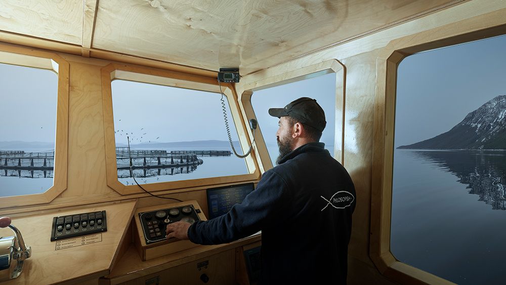 Κορυφαίος χώρος εργασίας η Philosofish με πιστοποίηση από το Great Place to Work Hellas — InfoCom