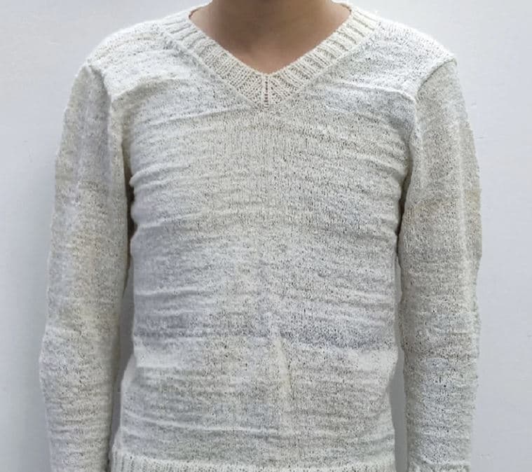 H πολική αρκούδα προσφέρει τεχνογνωσία για το πιο ζεστό πουλόβερ, H πολική αρκούδα προσφέρει τεχνογνωσία για το πιο ζεστό πουλόβερ, TechWar.gr