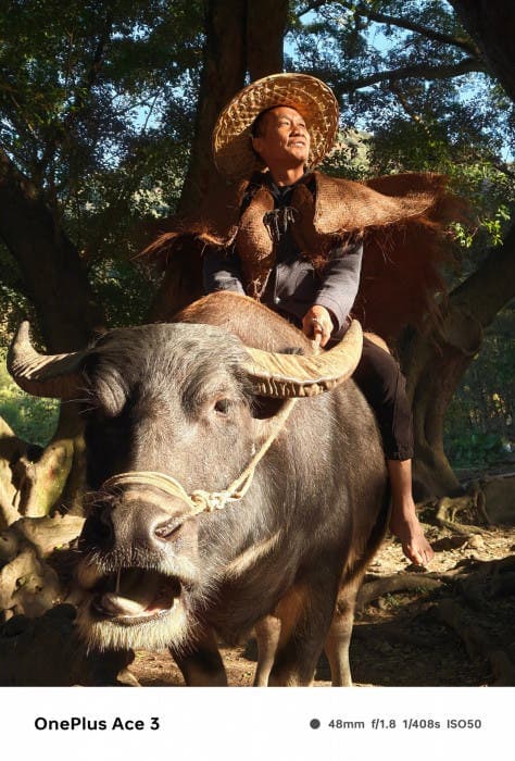 OnePlus Ace 3: έχουμε τα πρώτα δείγματα κάμερας, OnePlus Ace 3: έχουμε τα πρώτα δείγματα κάμερας, TechWar.GR