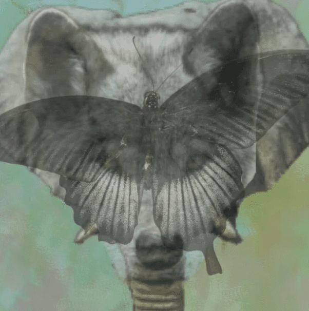 Αυτό που βλέπετε πρώτα αποκαλύπτει πόσο πιστοί είστε στις σχέσεις σας / FOXreport.gr, Αυτό που βλέπετε πρώτα αποκαλύπτει πόσο πιστοί είστε στις σχέσεις σας, TechWar.gr