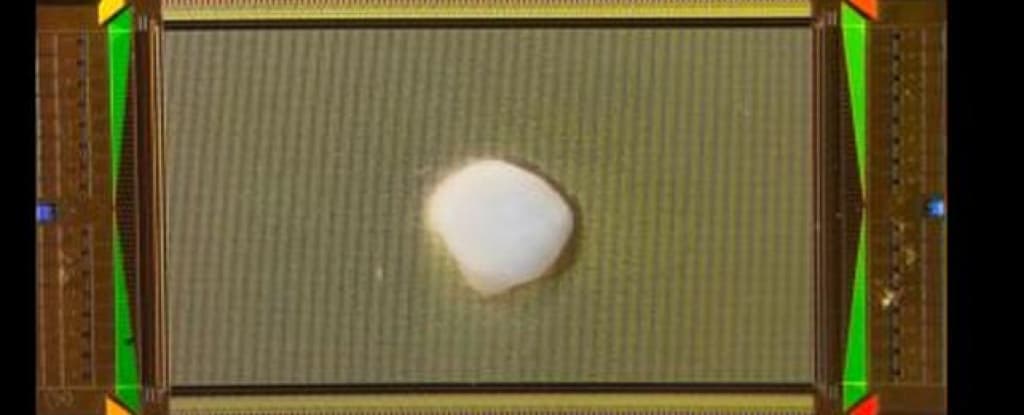 Επιστήμονες κατασκεύασαν λειτουργικό υπολογιστή που περιέχει ανθρώπινο εγκεφαλικό ιστό, Επιστήμονες κατασκεύασαν λειτουργικό υπολογιστή που περιέχει ανθρώπινο εγκεφαλικό ιστό, TechWar.gr