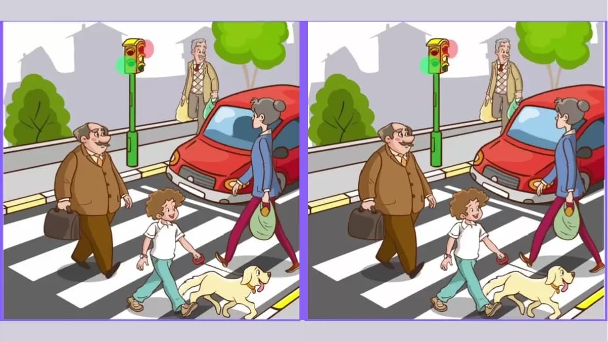 Τεστ παρατηρητικότητας Βρείτε τις διαφορές