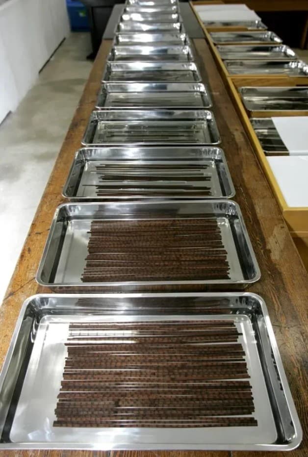 Αρχαία τελετουργικά βρέθηκαν σε μπαμπού που χρονολογούνται πριν από 2.000 χρόνια, Αρχαία τελετουργικά βρέθηκαν σε μπαμπού που χρονολογούνται πριν από 2.000 χρόνια, TechWar.GR