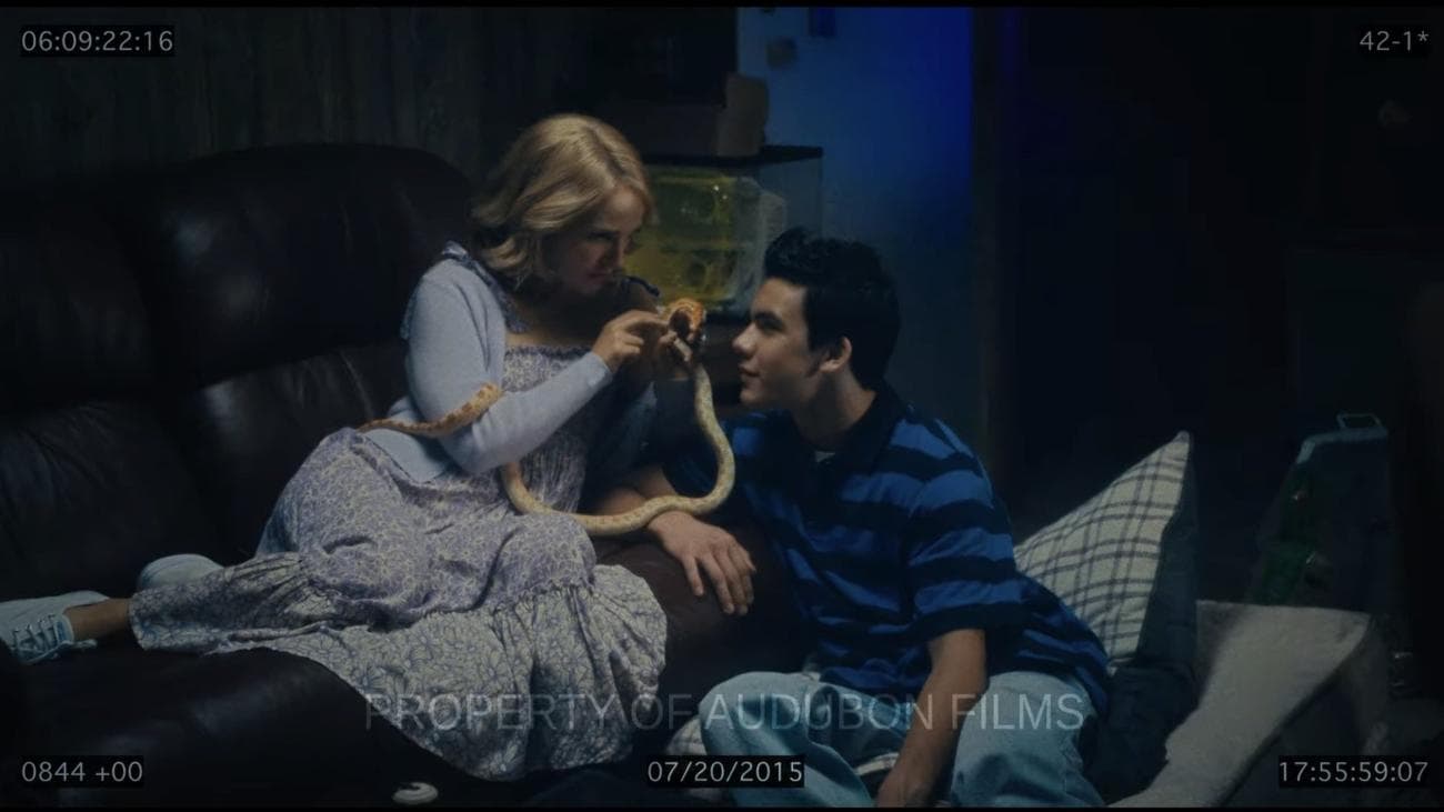 Η ταινία μέσα σε μια ταινία "Μάιος/Δεκέμβριος."