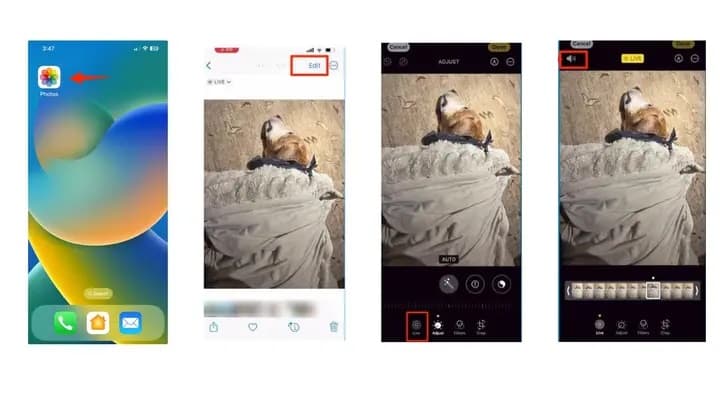 Πώς να χρησιμοποιήσετε την λειτουργία του iPhone χωρίς να γίνετε ρεζίλι / FOXreport.gr, Πώς να χρησιμοποιήσετε την λειτουργία του iPhone χωρίς να γίνετε ρεζίλι, TechWar.gr