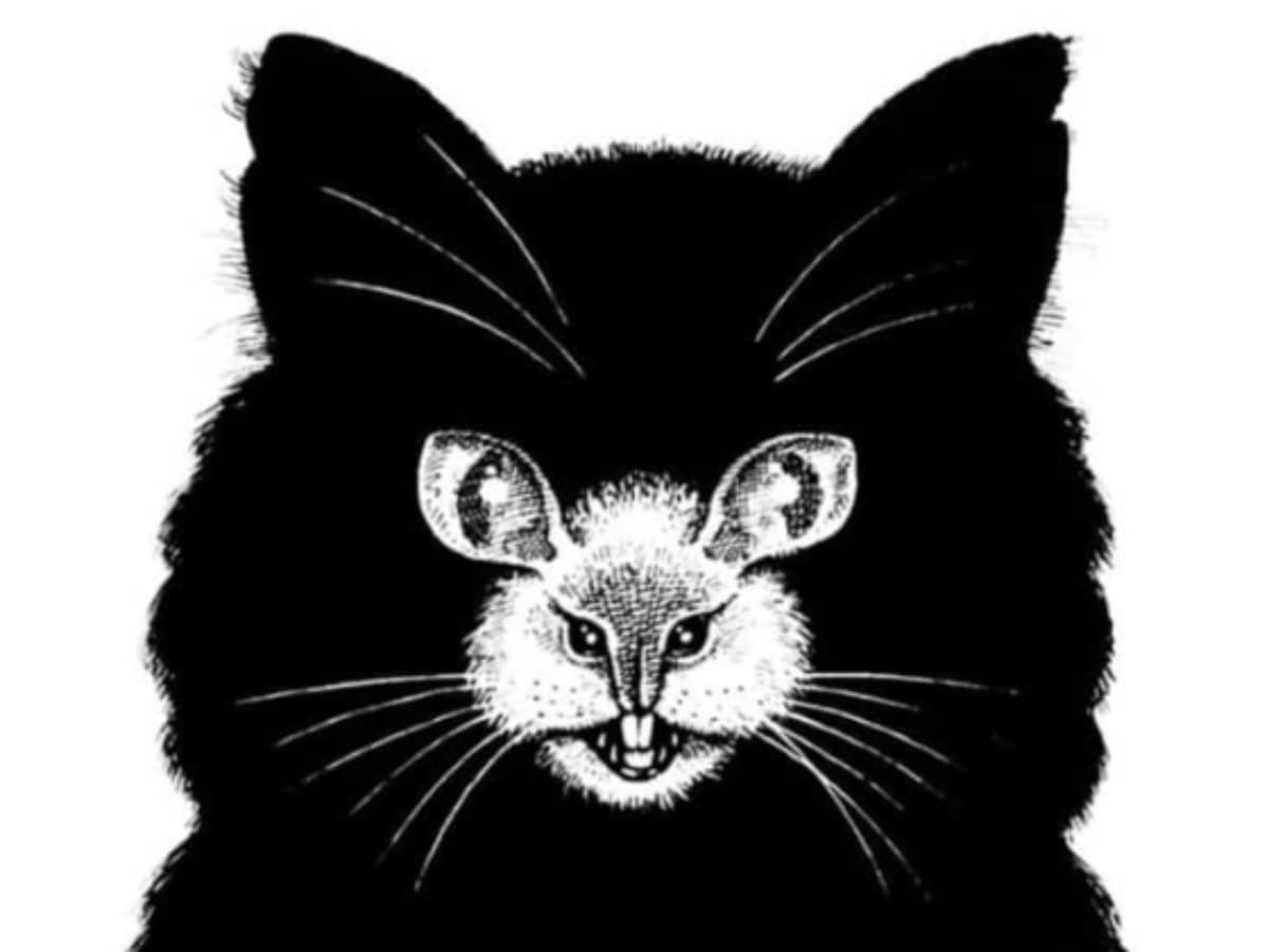 Το ζώο που βλέπετε πρώτα αποκαλύπτει αν είστε ντροπαλός ή ανεξάρτητος / FOXreport.gr, Το ζώο που βλέπετε πρώτα αποκαλύπτει αν είστε ντροπαλός ή ανεξάρτητος, TechWar.gr