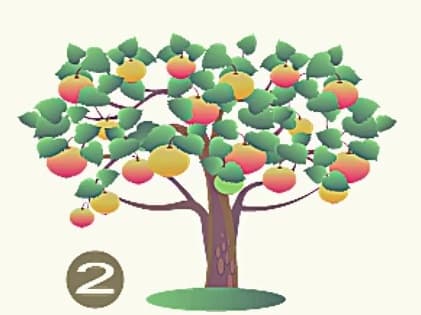 Το δέντρο που θα επιλέξετε αποκαλύπτει τα κυρίαρχα χαρακτηριστικά σας  / FOXreport.gr, Το δέντρο που θα επιλέξετε αποκαλύπτει τα κυρίαρχα χαρακτηριστικά σας , TechWar.GR