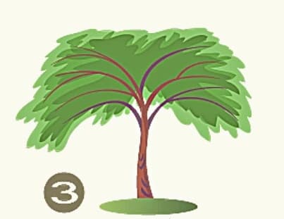 Το δέντρο που θα επιλέξετε αποκαλύπτει τα κυρίαρχα χαρακτηριστικά σας  / FOXreport.gr, Το δέντρο που θα επιλέξετε αποκαλύπτει τα κυρίαρχα χαρακτηριστικά σας , TechWar.GR