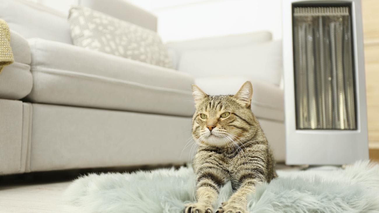 7 πράγματα που δεν πρέπει ποτέ να βάζετε κοντά στη θερμάστρα χώρου σας, 7 πράγματα που δεν πρέπει ποτέ να βάζετε κοντά στη θερμάστρα χώρου σας, TechWar.gr