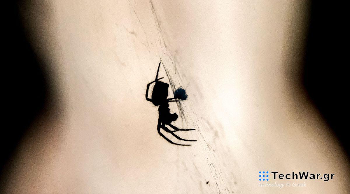 Όχι, οι αράχνες δεν θέλουν να ζευγαρώσουν με το viral body butter σας
