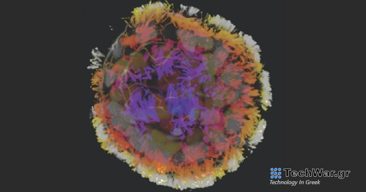 Αυτοσυναρμολογούμενα βιολογικά ρομπότ αφήνουν υποσχέσεις για επούλωση τραυμάτων