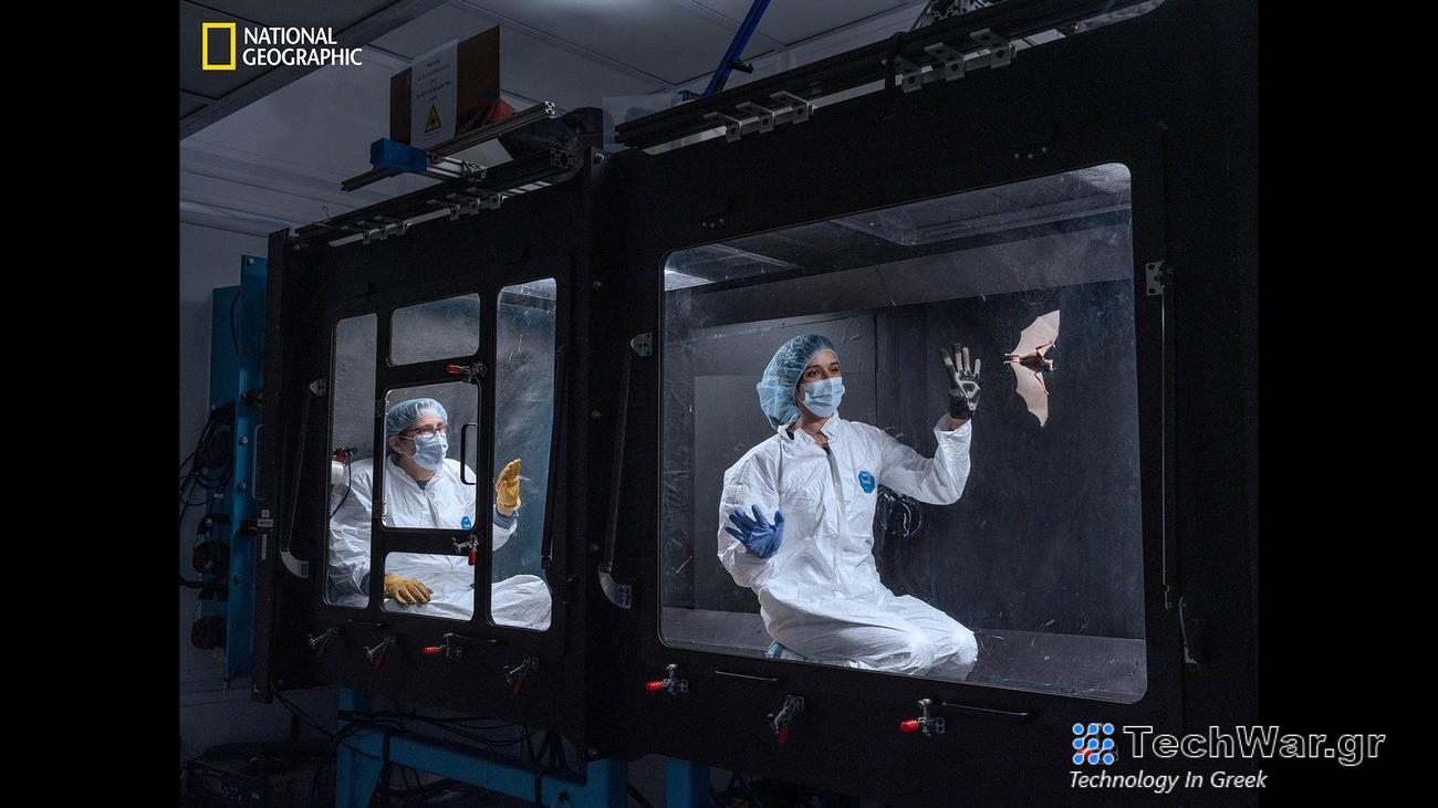 Workers at the Chiba Kogaku glass factory use sledgehammers to remove the clay pot around a core of optical glass. Highly resistant to air-temperature changes, the glass will be cut into slabs, shipped to the University of Arizona’s observatory, then melted and cast into mirrors for large, high-altitude telescopes. 