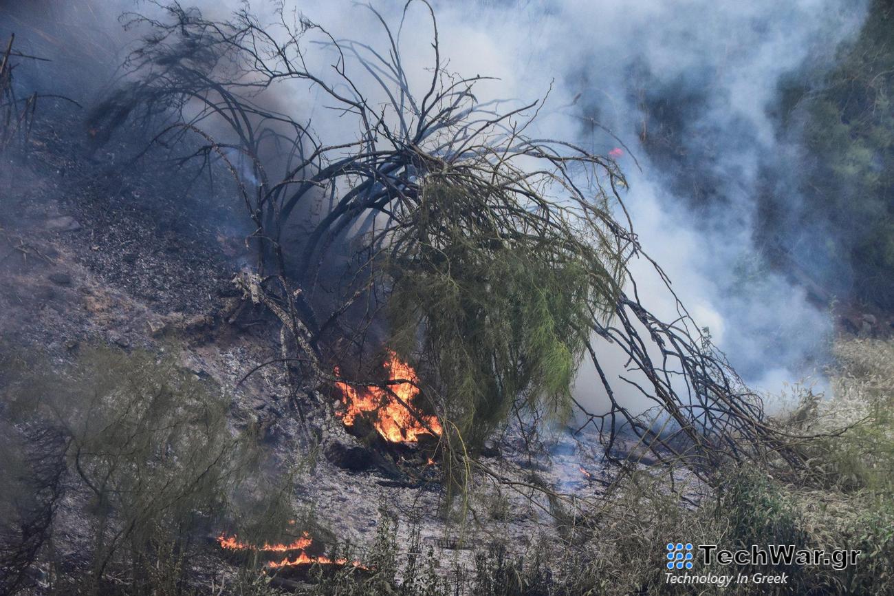 Οι ανοιχτές πληγές που άφησαν πίσω τους οι δασικές πυρκαγιές