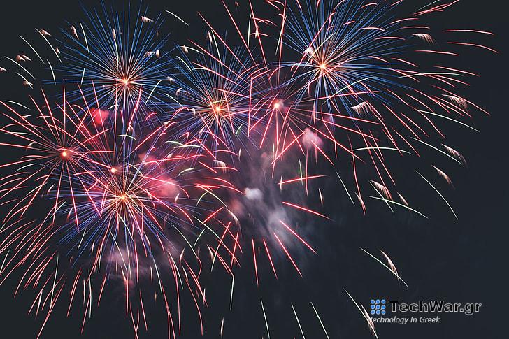 Παραμονή πρωτοχρονιάς: Εφιάλτης για τα πτηνά τα εορταστικά πυροτεχνήματα