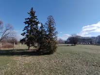 Κάμερα Ultawide