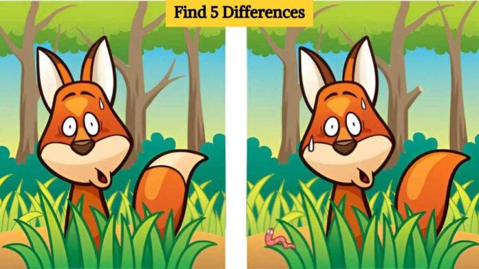 Τεστ Παρατηρητικότητας διαφορές αλεπού