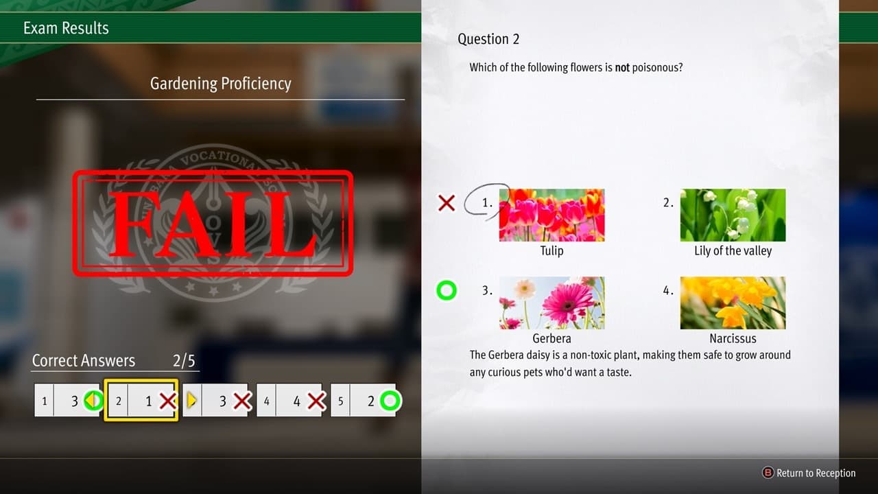 Gerbera are option number 3 in this image.