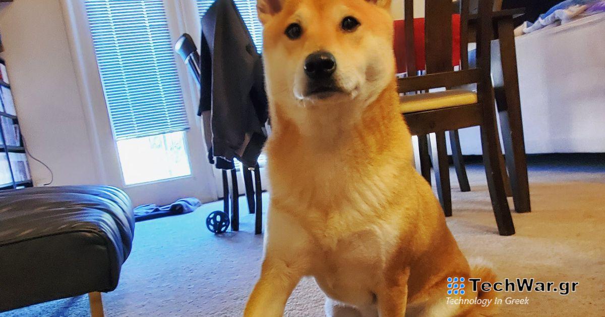 Awesome Games Done Το αξιολάτρευτο speedrun του Quick ήταν μόνο η αρχή
