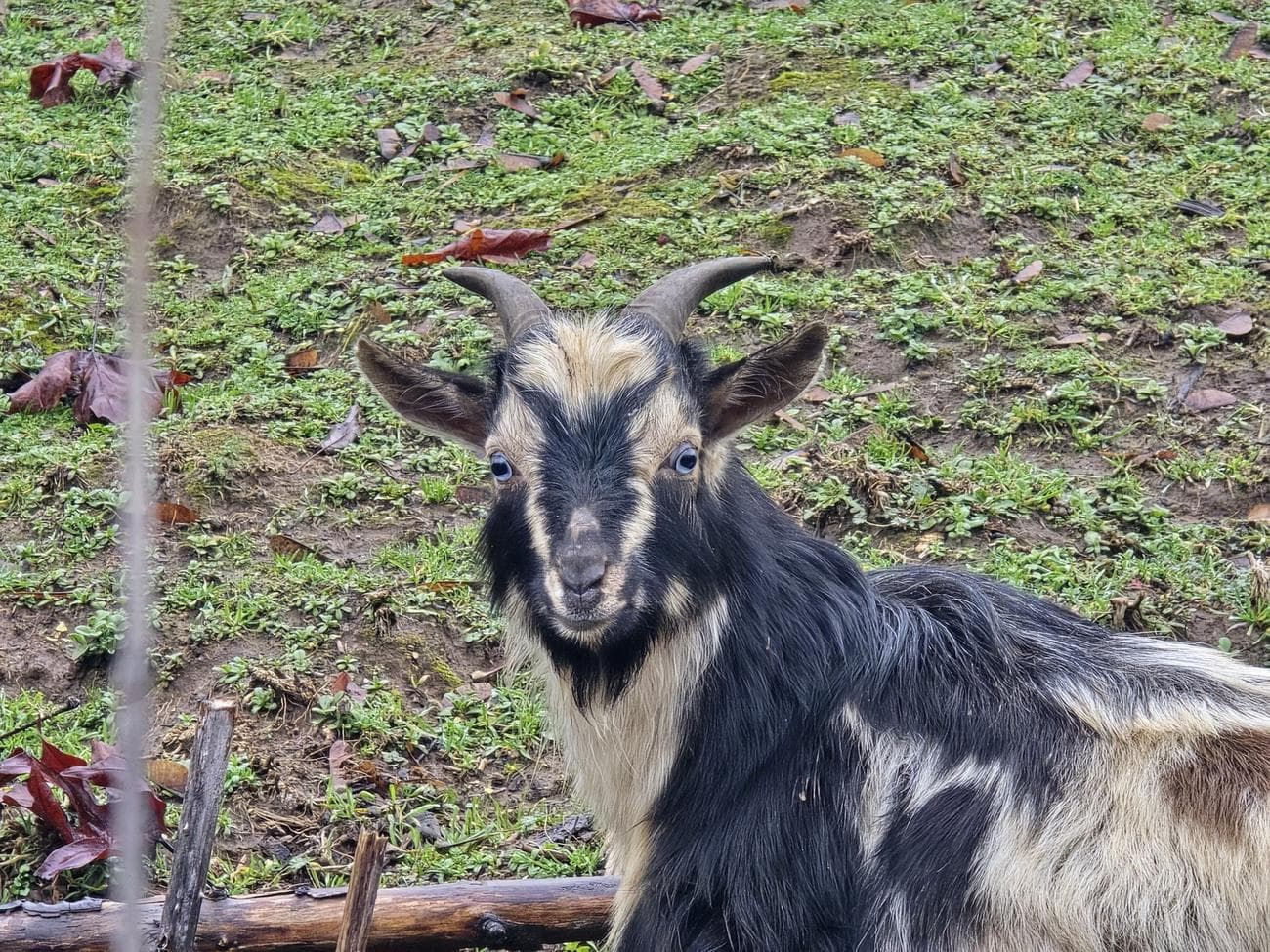 This is the 2024 Phone to Buy - Galaxy S24 Ultra Camera Sample29 - TechWar.GR