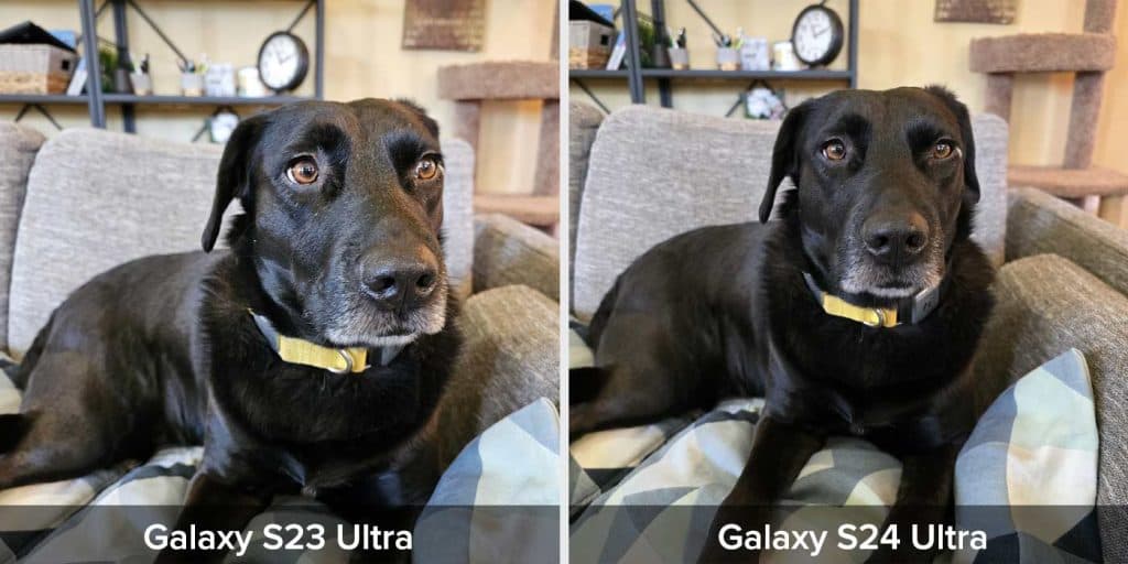 Η Samsung μπορεί να έχει αλλάξει τον τρόπο λειτουργίας της κάμερας Galaxy S24 - Galaxy S24 camera processing sample 1 - TechWar.GR