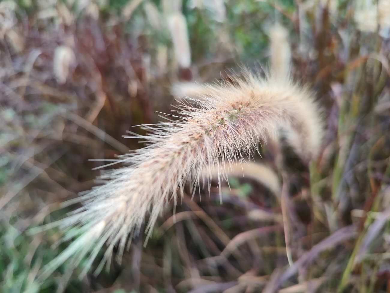 Ποιότητα και εξοπλισμός σε ένα μοναδικό προσιτό πακέτο - IMG 20240120 094308 - TechWar.GR