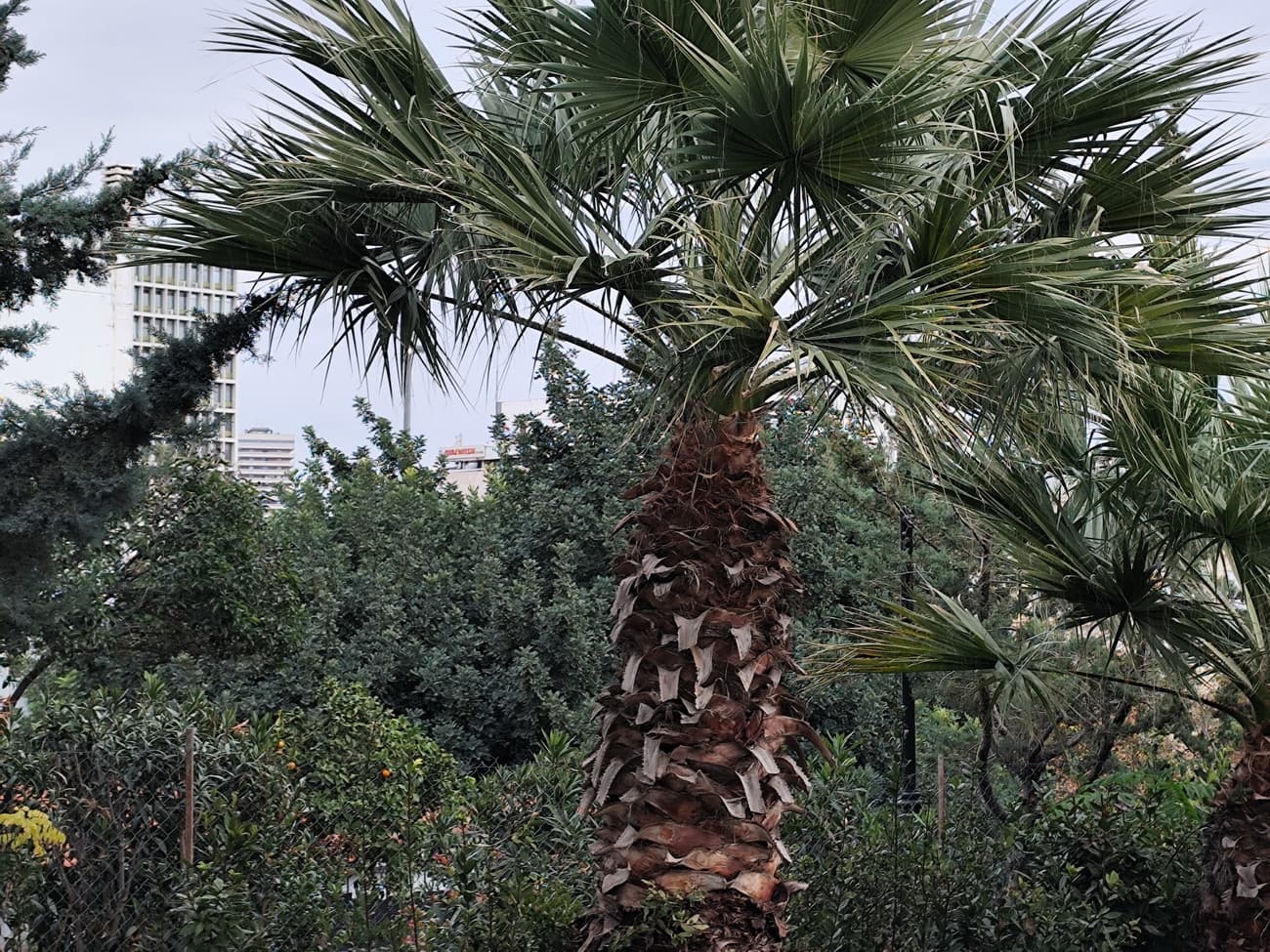 Ποιότητα και εξοπλισμός σε ένα μοναδικό προσιτό πακέτο - IMG 20240120 094533 - TechWar.GR