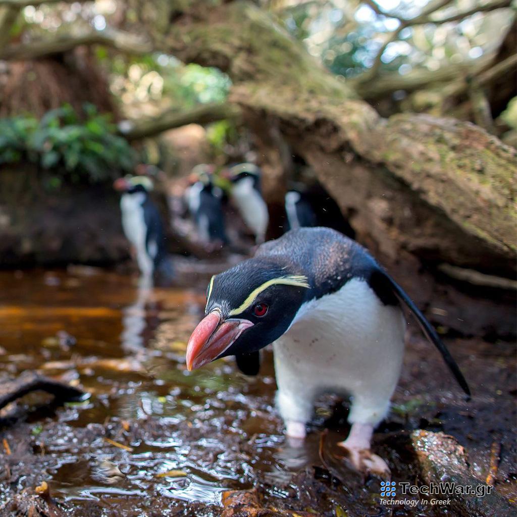 Viasat Nature - Highlights, Φεβρουάριος 2024 - Viasat Nature - Highlights, Φεβρουάριος 2024 - Digitaltvinfo.gr