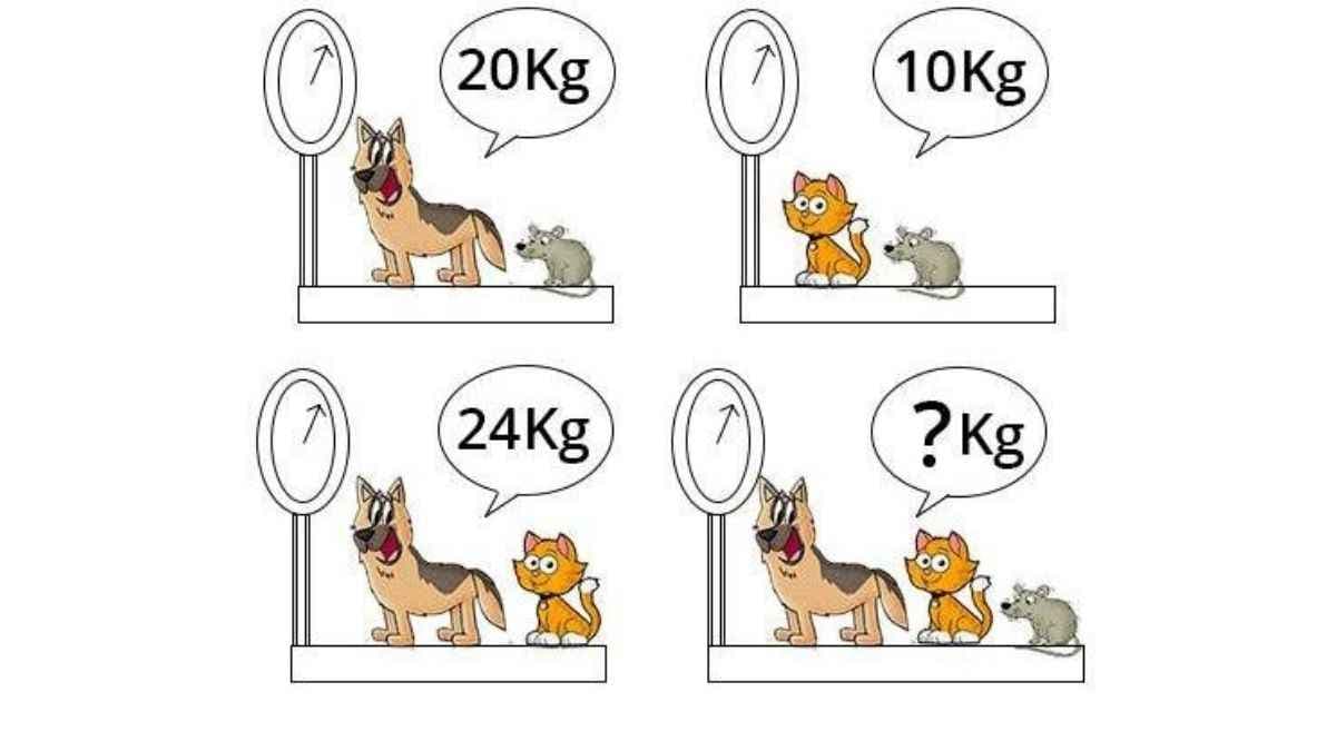 Μαθηματικό παζλ