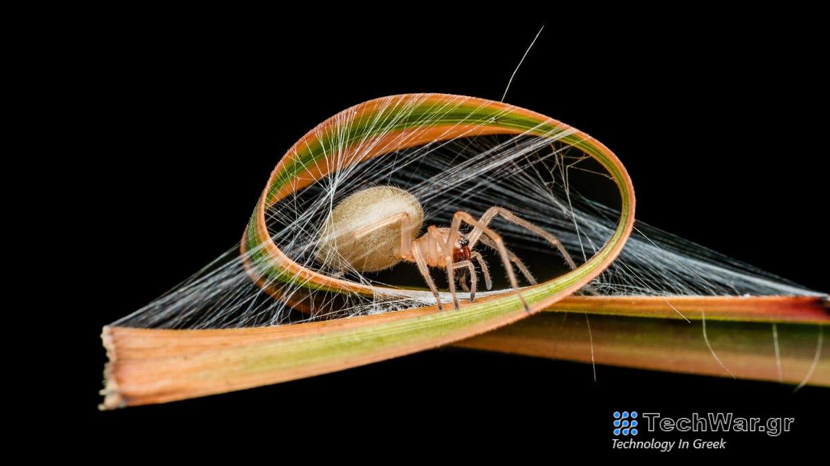 Δείτε το Nature Way Up-Close σε αυτές τις βραβευμένες φωτογραφίες
