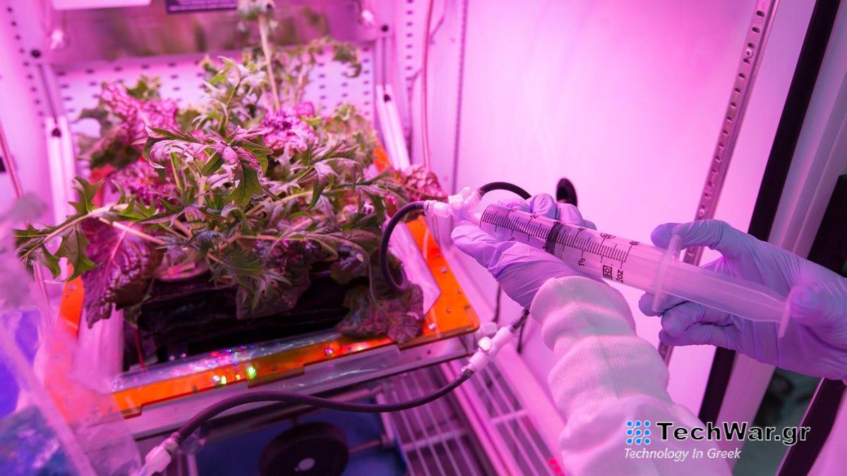 Δεν κερδίζεις φίλους με τη διαστημική σαλάτα
