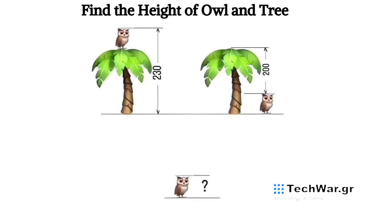 μαθηματικό παζλ κουκουβάγια δέντρο