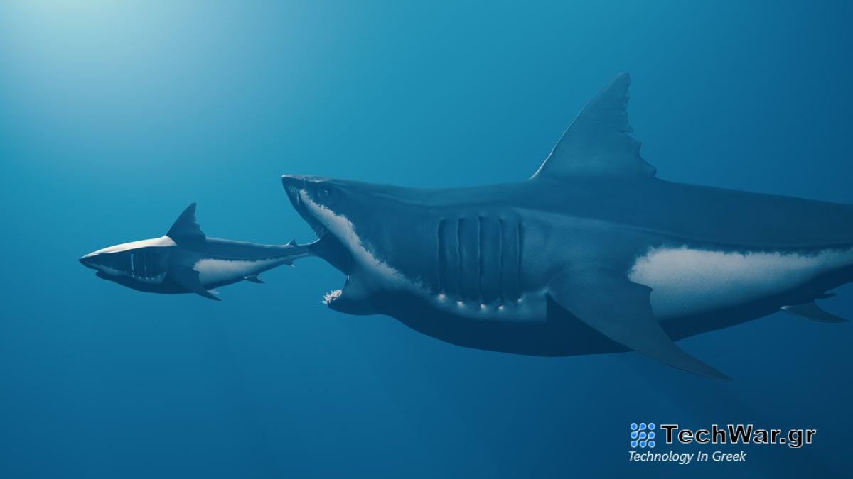 Οι επιστήμονες βρίσκουν δόντι μεγαλόδοντος σε ένα πραγματικά απροσδόκητο μέρος
