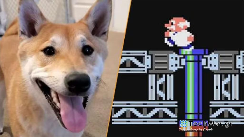 Σκύλος Shiba Inu έκανε...speedrun του Gyromyte στο Awesome Games Done Quick 2024
