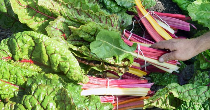 Τα οφέλη των 10 τρισεκατομμυρίων δολαρίων από την αναθεώρηση του Τα οφέλη των 10 τρισεκατομμυρίων δολαρίων από την αναθεώρηση του συστήματος τροφίμων μας