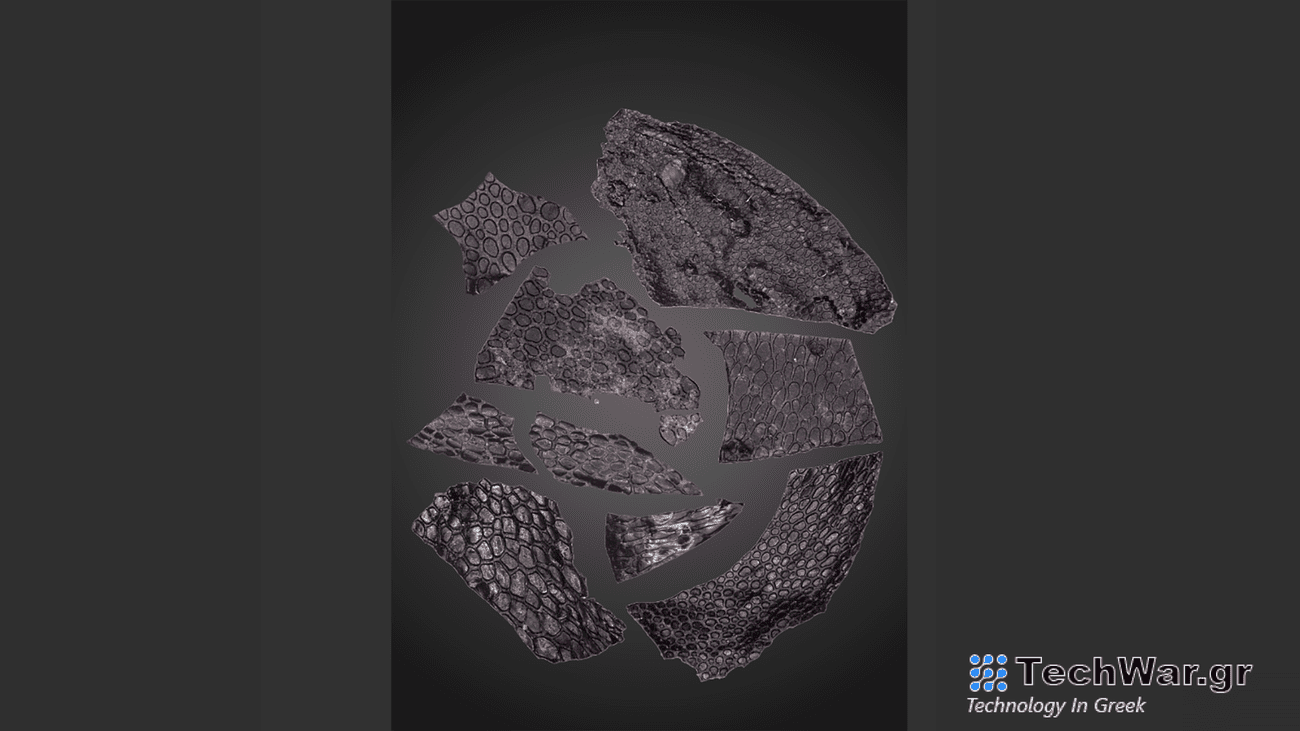 A visual collage of skin fossils described in the new study. The mummified skin specimen is shown sliced into two pieces in the center-left of the image. The surrounding specimen scans are of fossilized skin impressions.