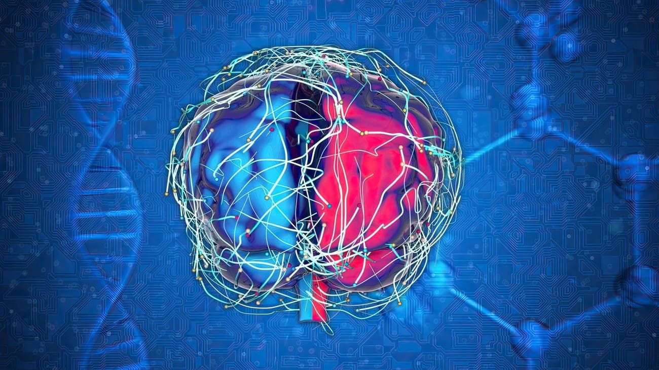 Έγκαιρη ανίχνευση Alzheimer με AI