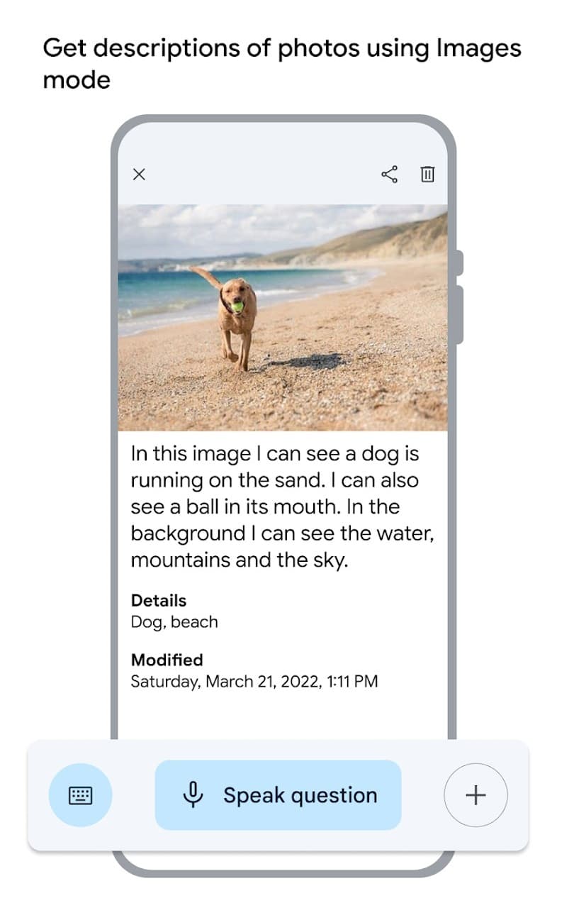Google Lookout Image QnA