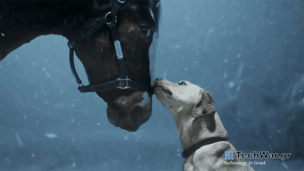 A dog nuzzles a horse in the snow in a Budweiser commercial set to premiere during this years Super Bowl 2024. 