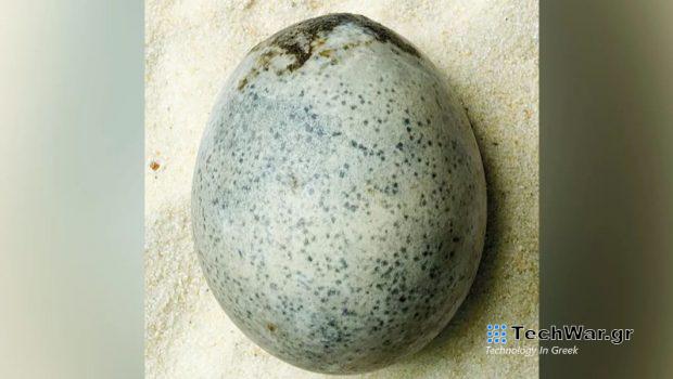 Αβγό διατηρήθηκε για 1.700 χρόνια με τον κρόκο και το ασπράδι του
