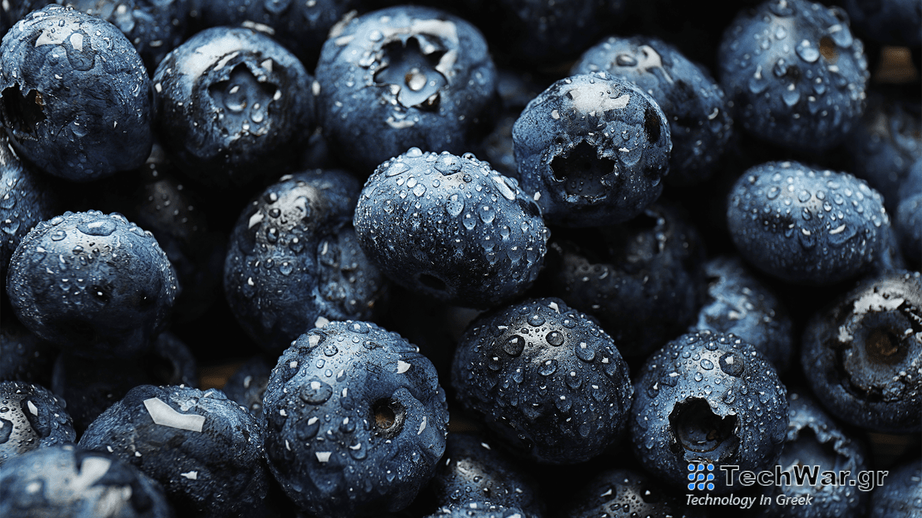 A bunch of wet blueberries.